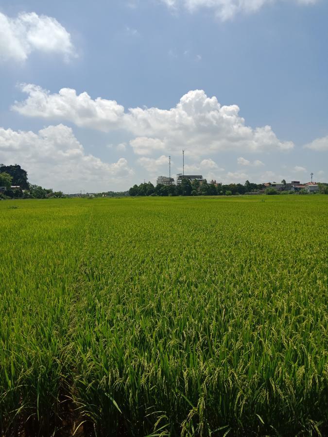 Tam Coc Valley Bungalow Ниньбинь Экстерьер фото