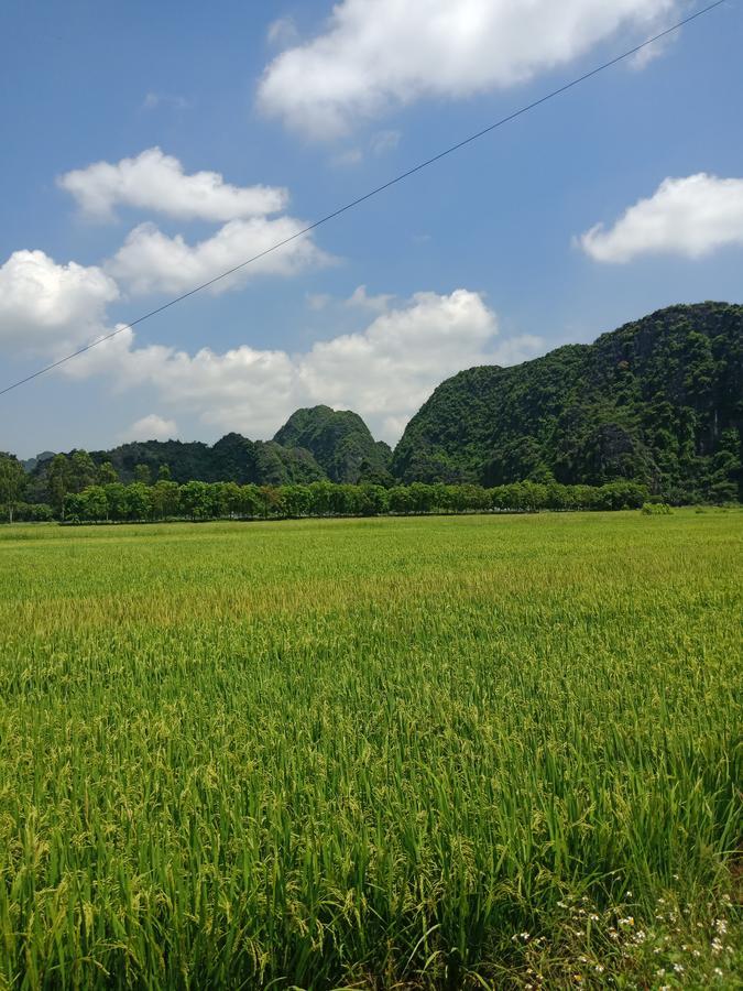 Tam Coc Valley Bungalow Ниньбинь Экстерьер фото