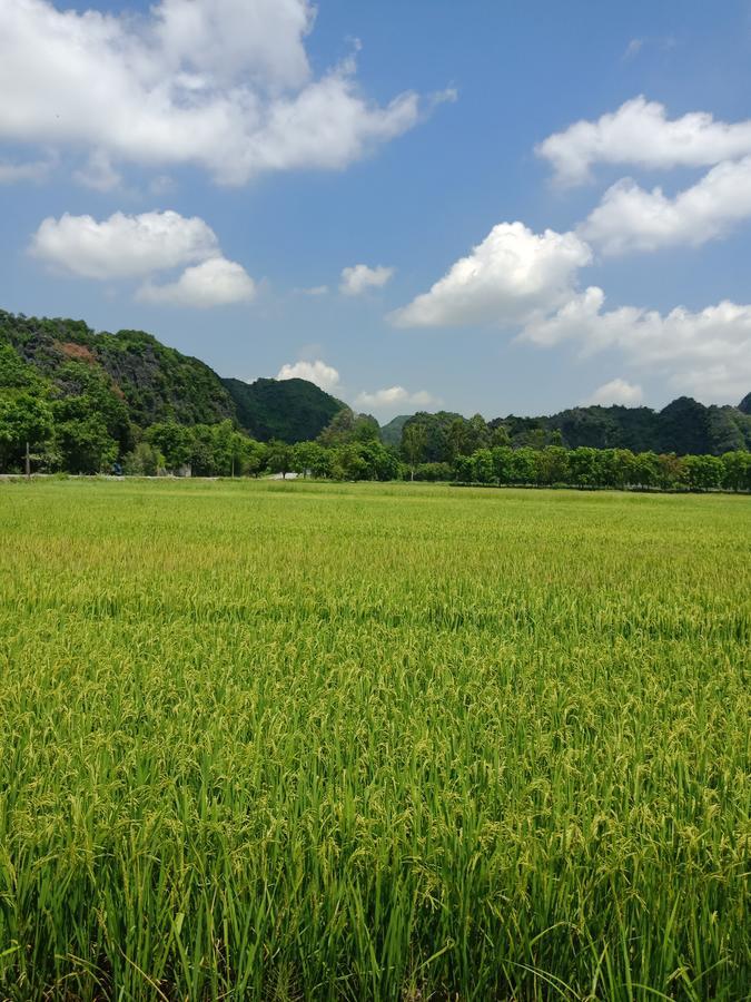 Tam Coc Valley Bungalow Ниньбинь Экстерьер фото